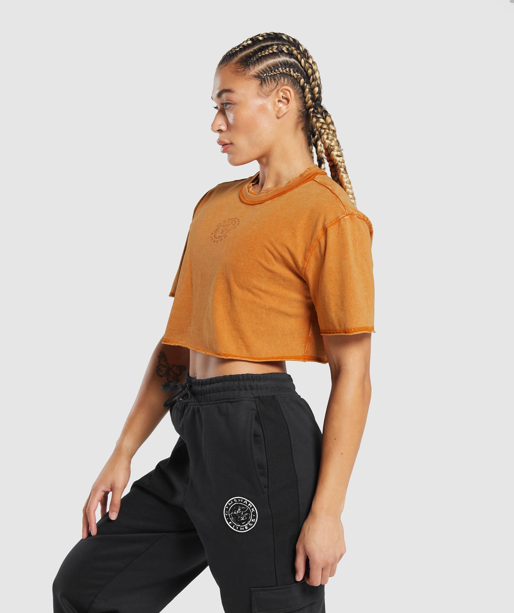 Legacy Washed Crop Top in Charred Orange - view 3