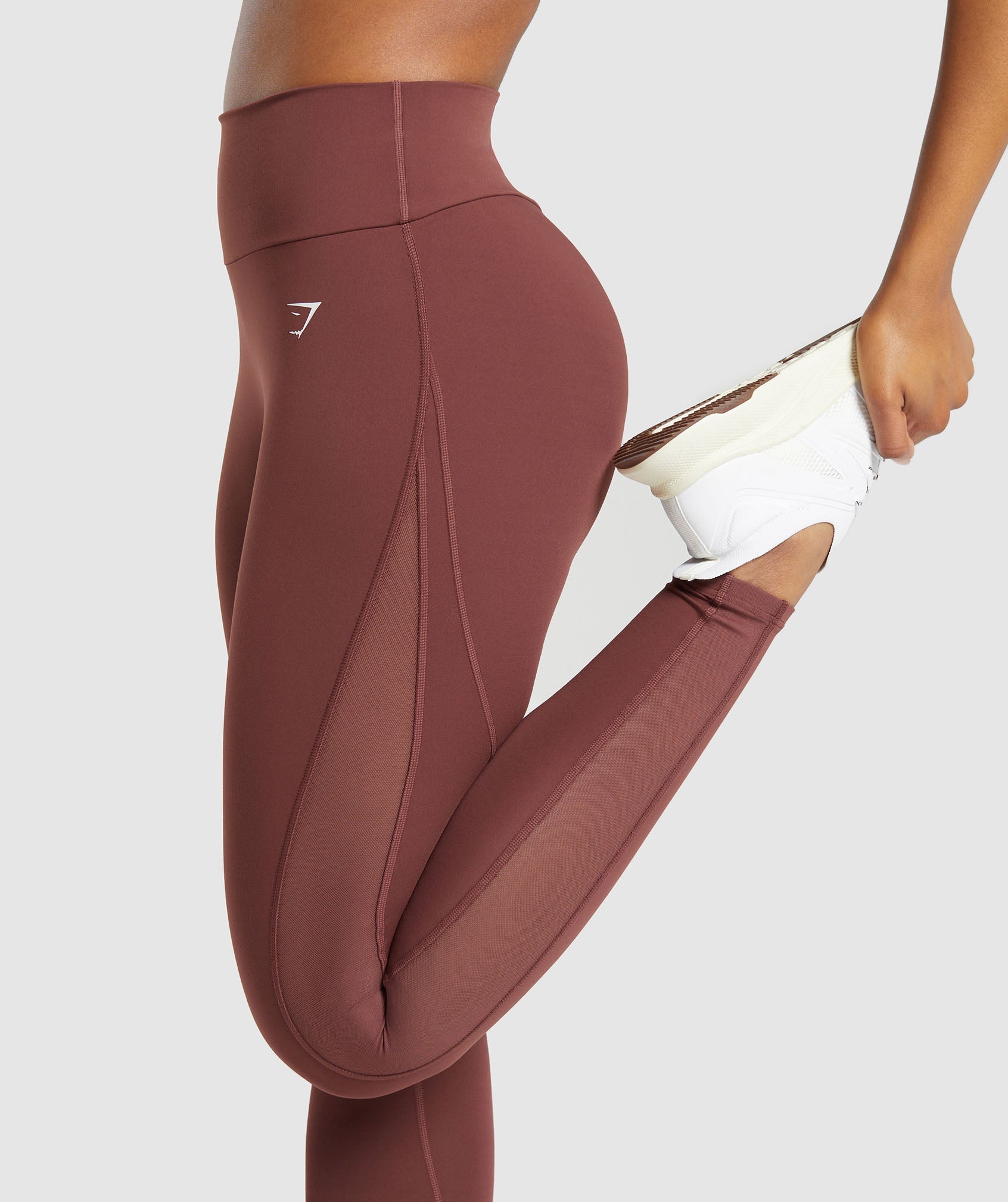 Mesh Placement Leggings in Burgundy Brown - view 6