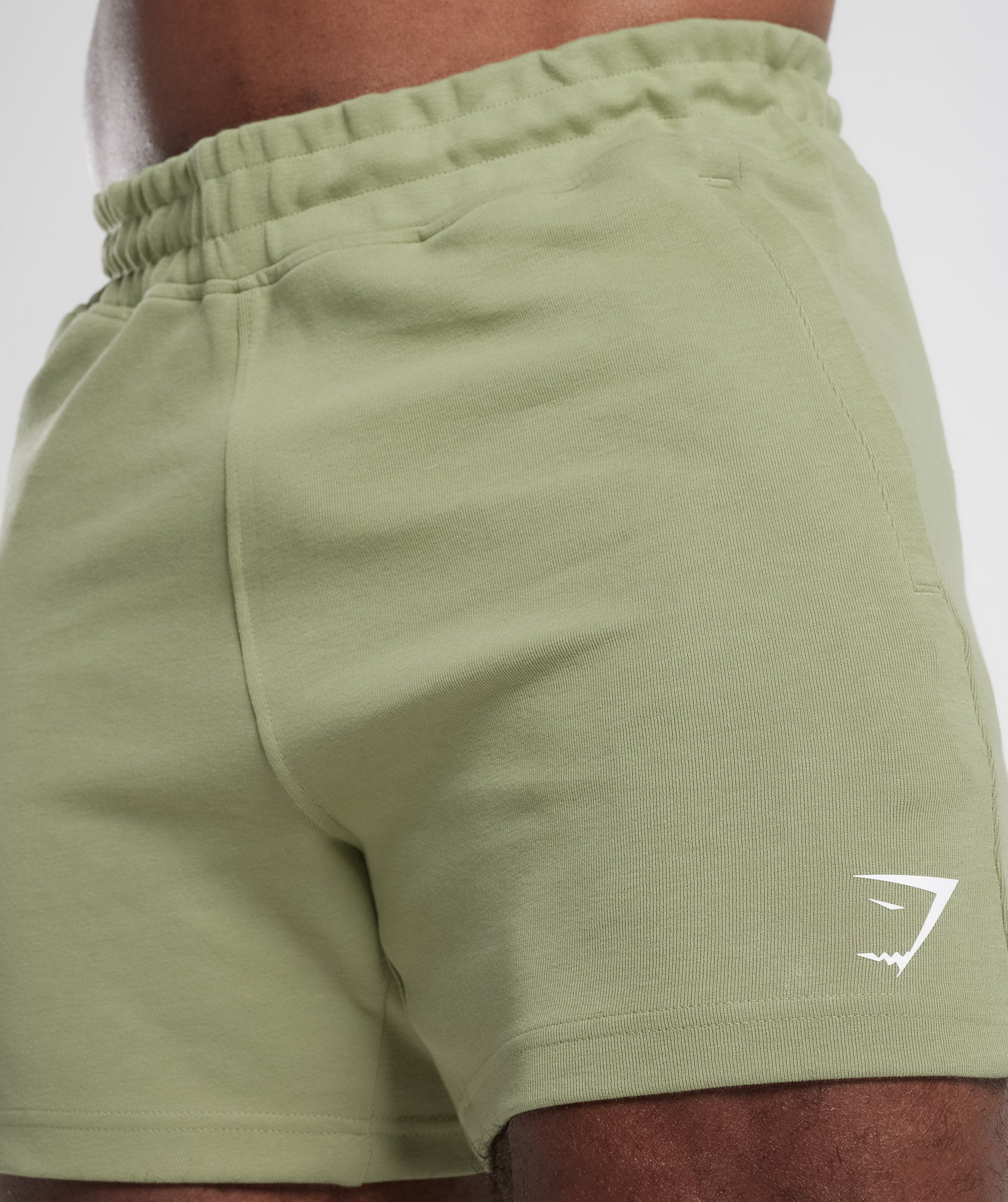 React 5" Shorts in Light Sage Green - view 6