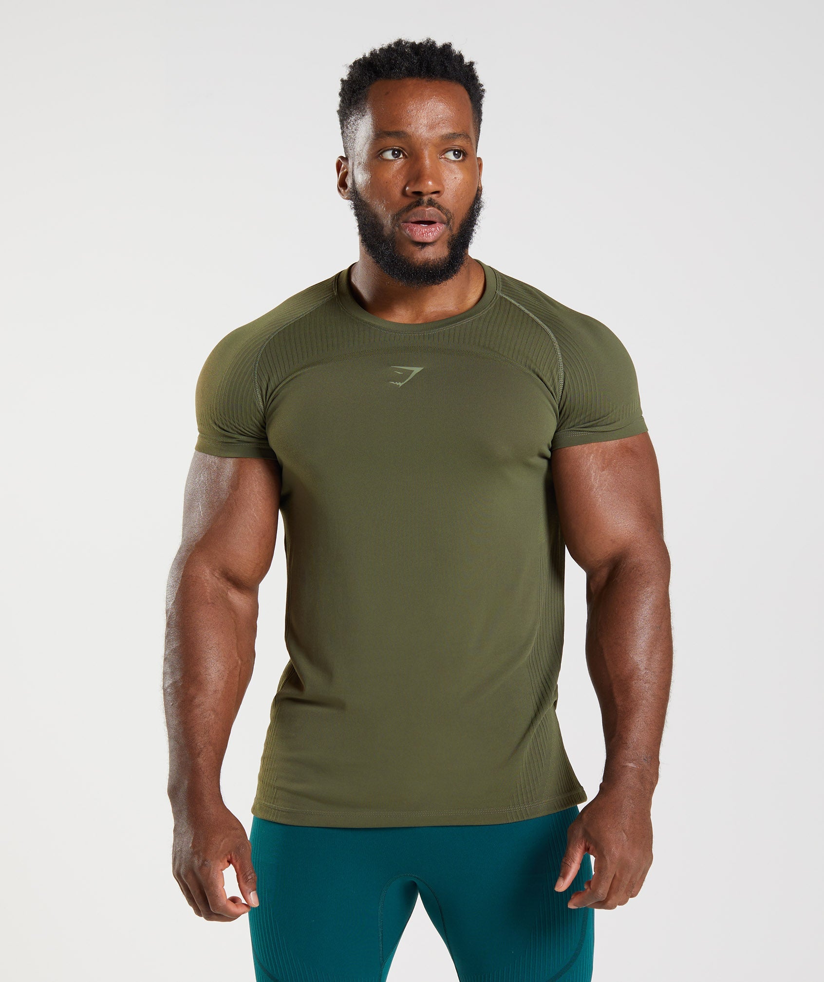 315 Seamless T-Shirt in Core Olive/Marsh Green