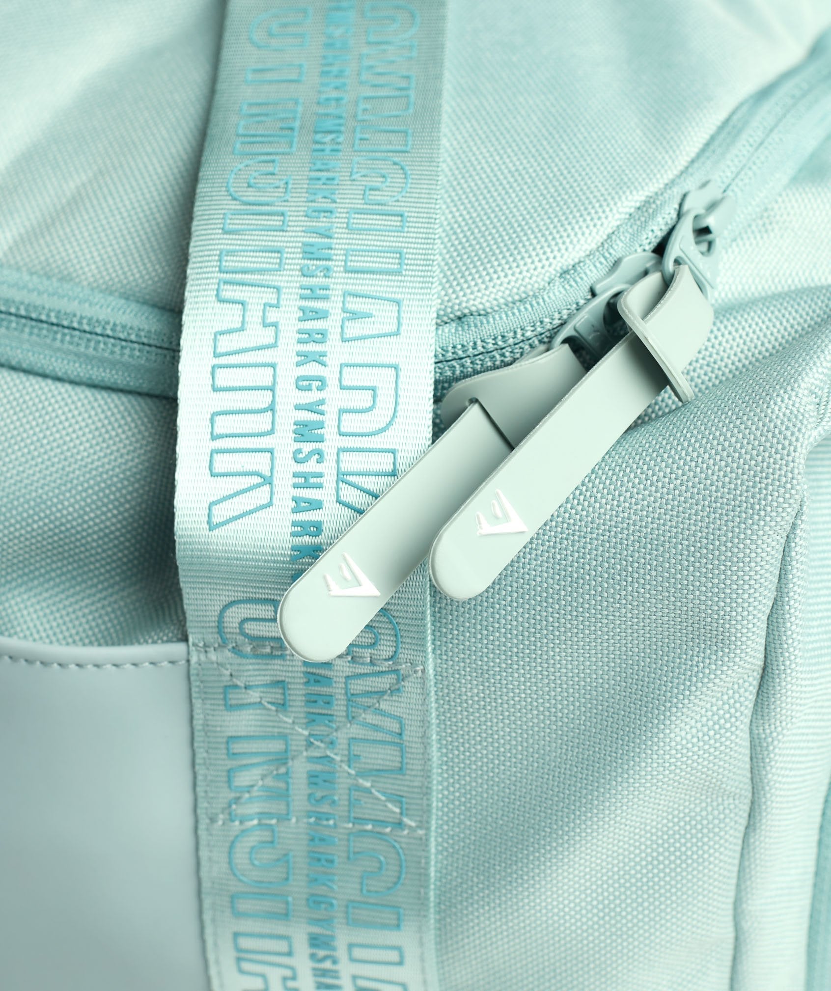 Everyday Gym Bag in Light Blue