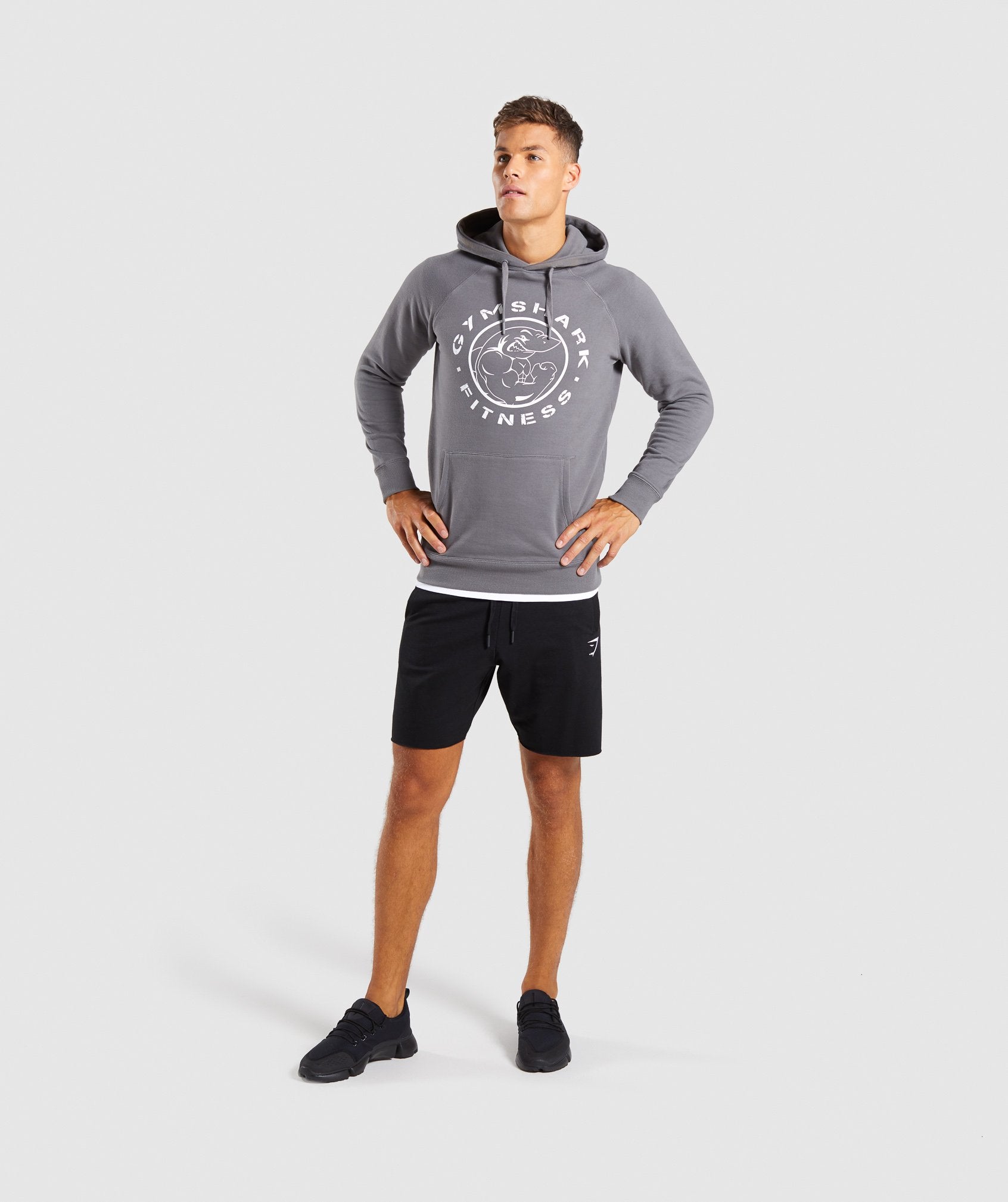 Legacy Hoodie in Smokey Grey - view 6