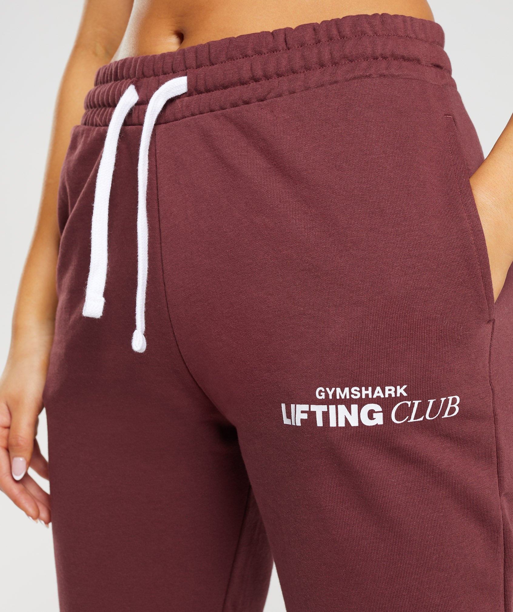 Social Club Joggers in Cherry Brown - view 3