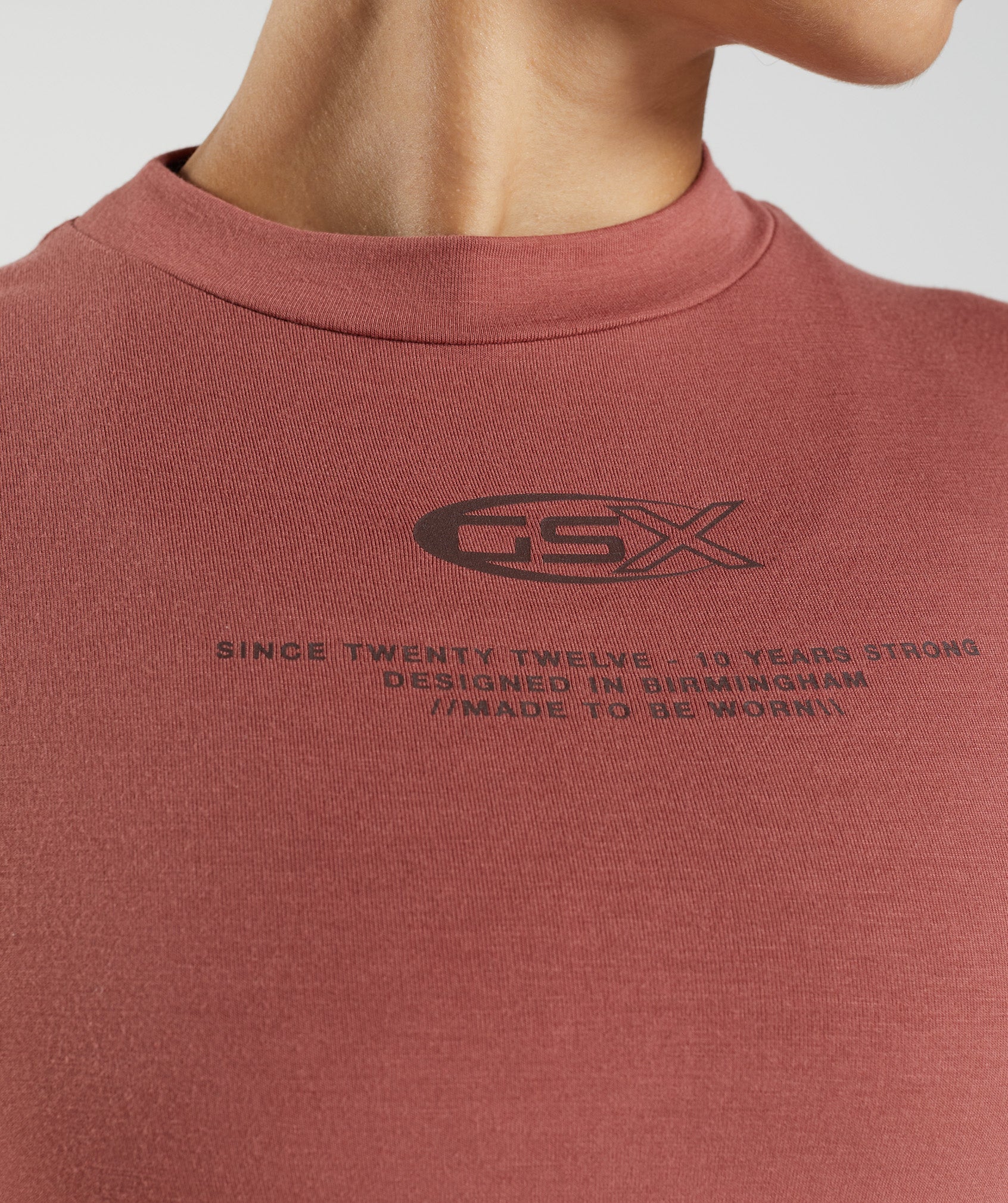 GS10 Year Body Fit T-Shirt in Rose Brown - view 5