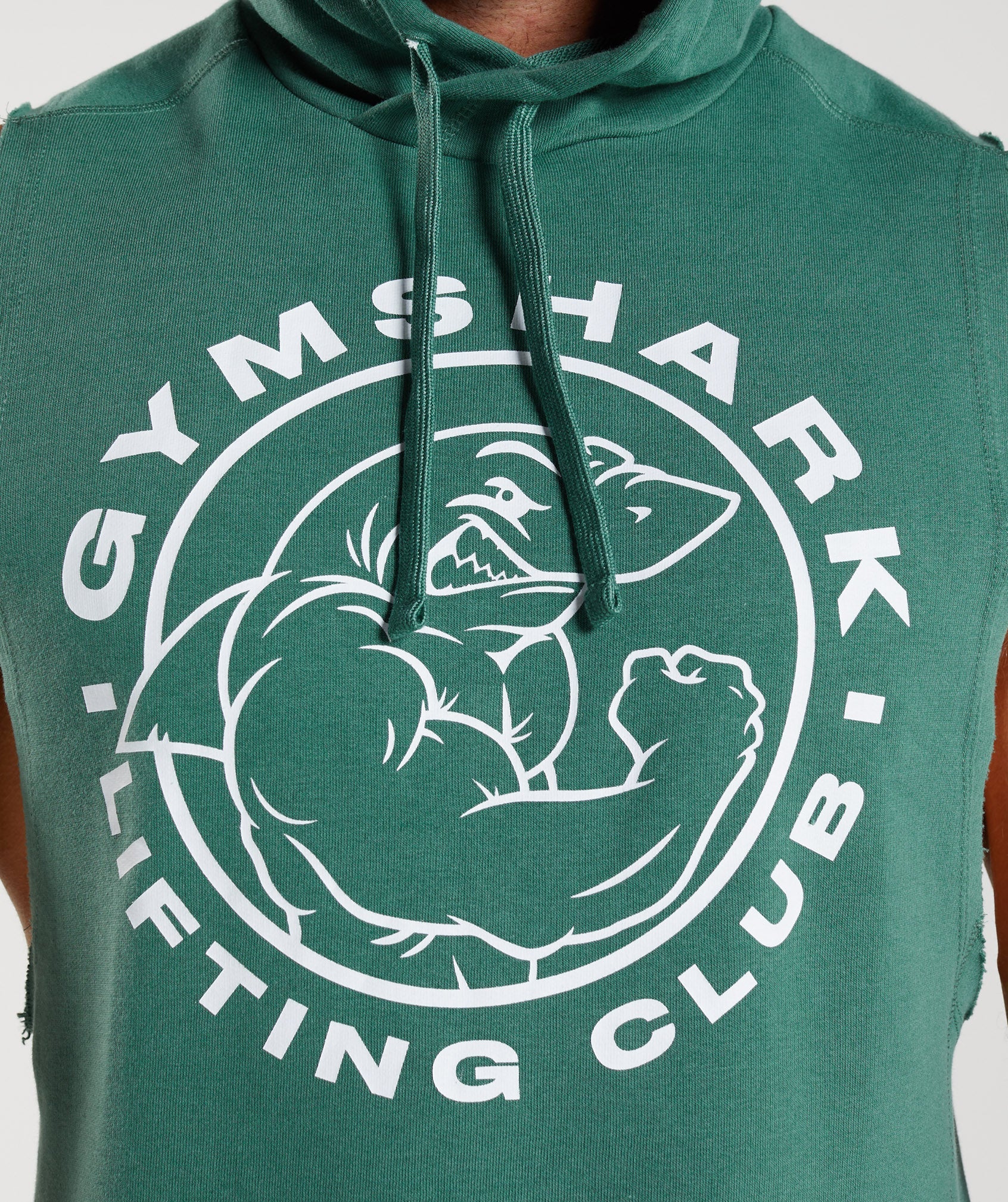 Legacy Drop Arm Hoodie in Hoya Green - view 6