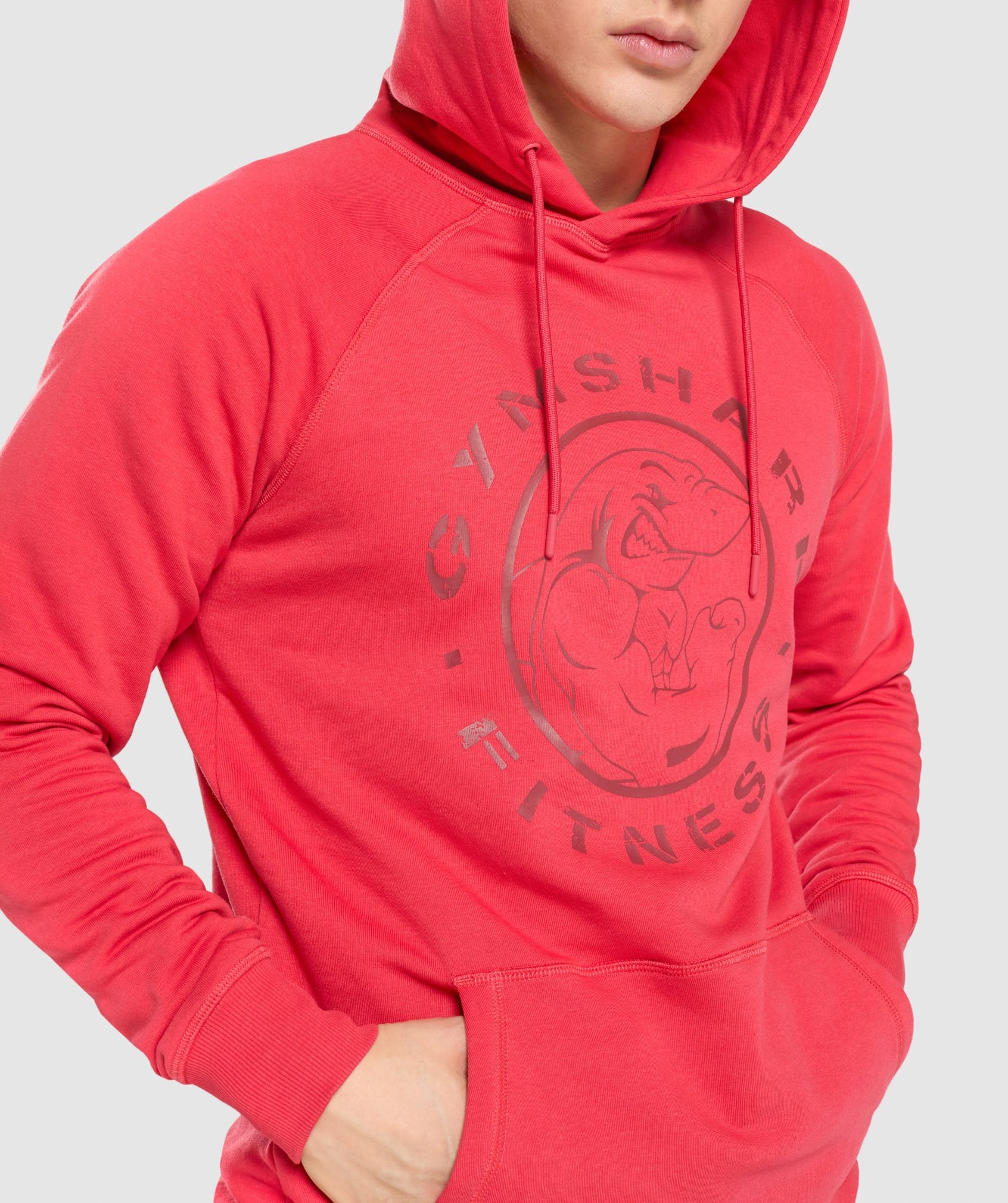 Legacy Hoodie in Red - view 6