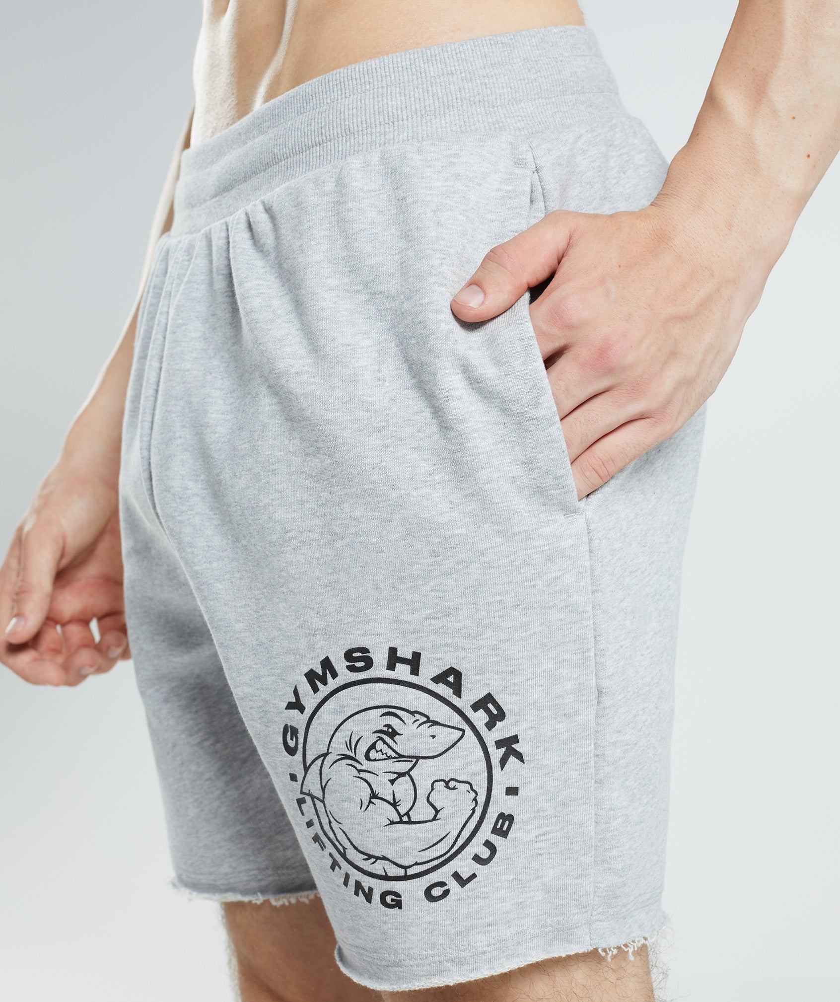 Legacy Shorts in Light Grey Core Marl - view 5