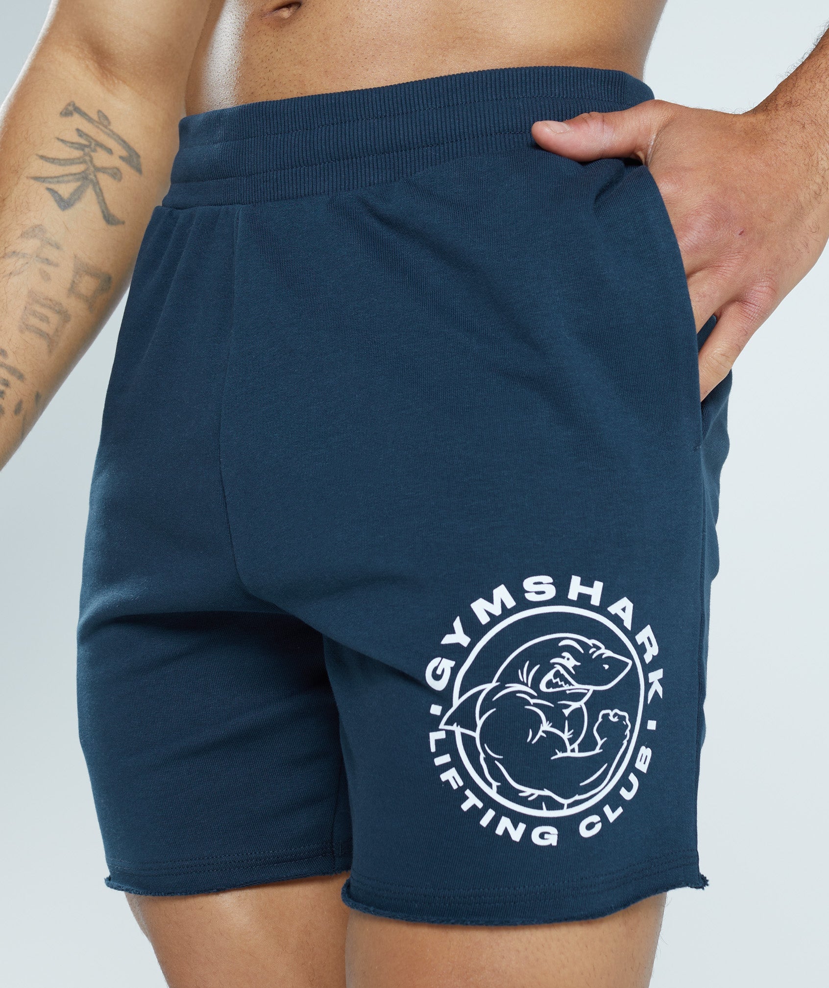 Legacy Shorts in Navy - view 5