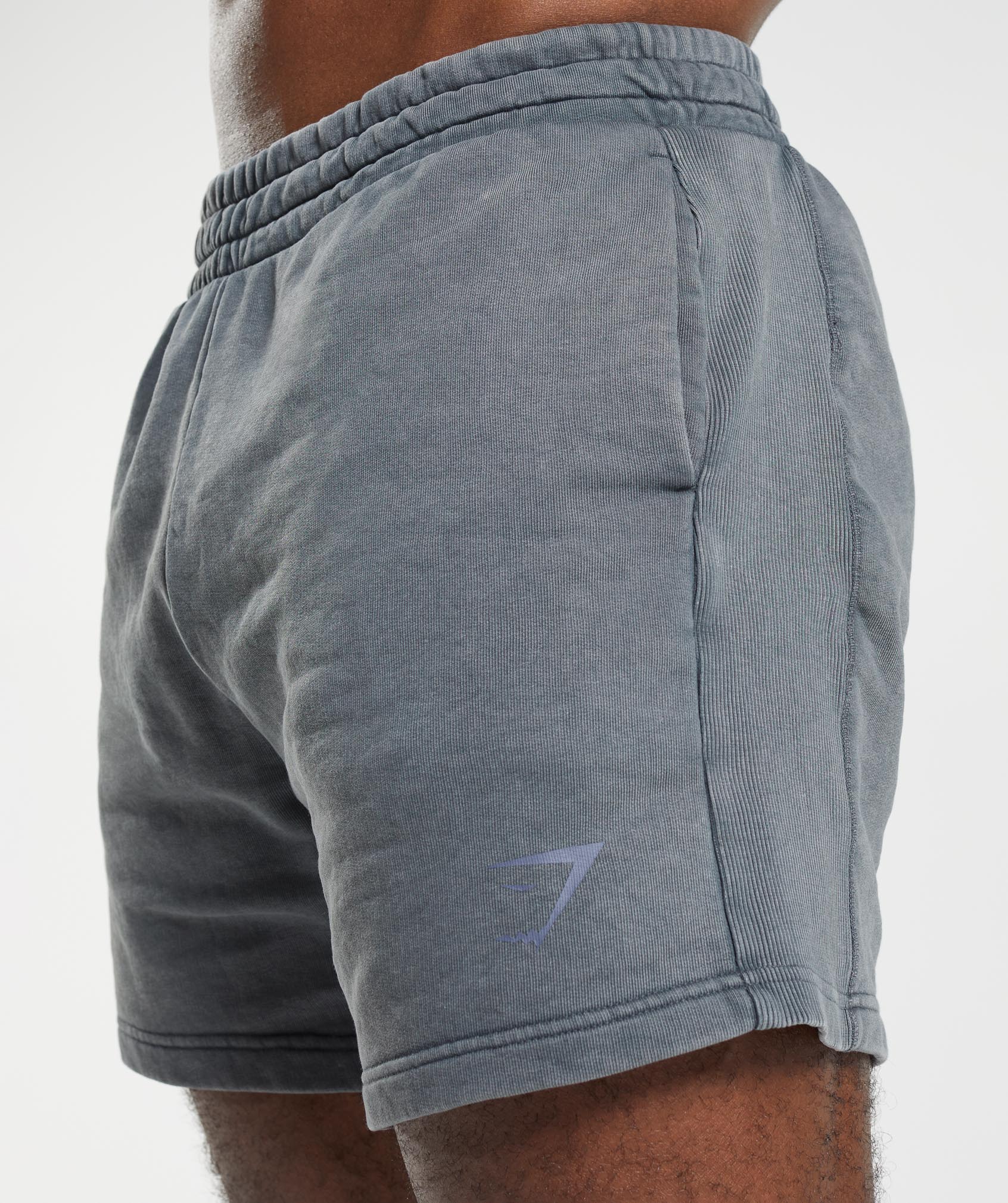 Power Washed 5" Shorts in Cosmic Grey - view 5