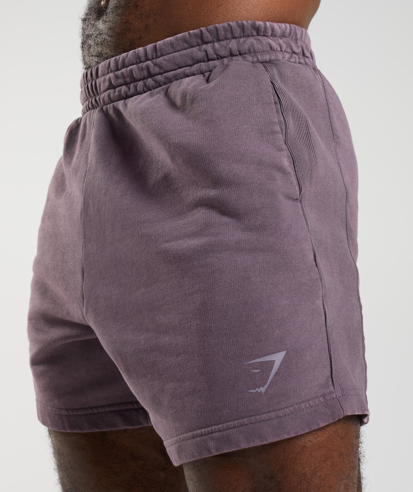 Power Washed 5" Shorts in Musk Lilac - view 5