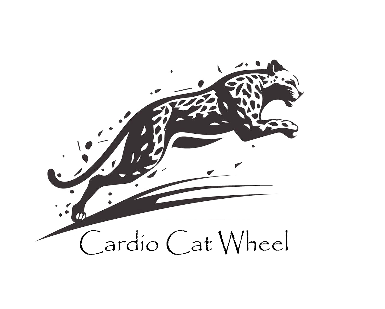 Cardio Cat Wheel