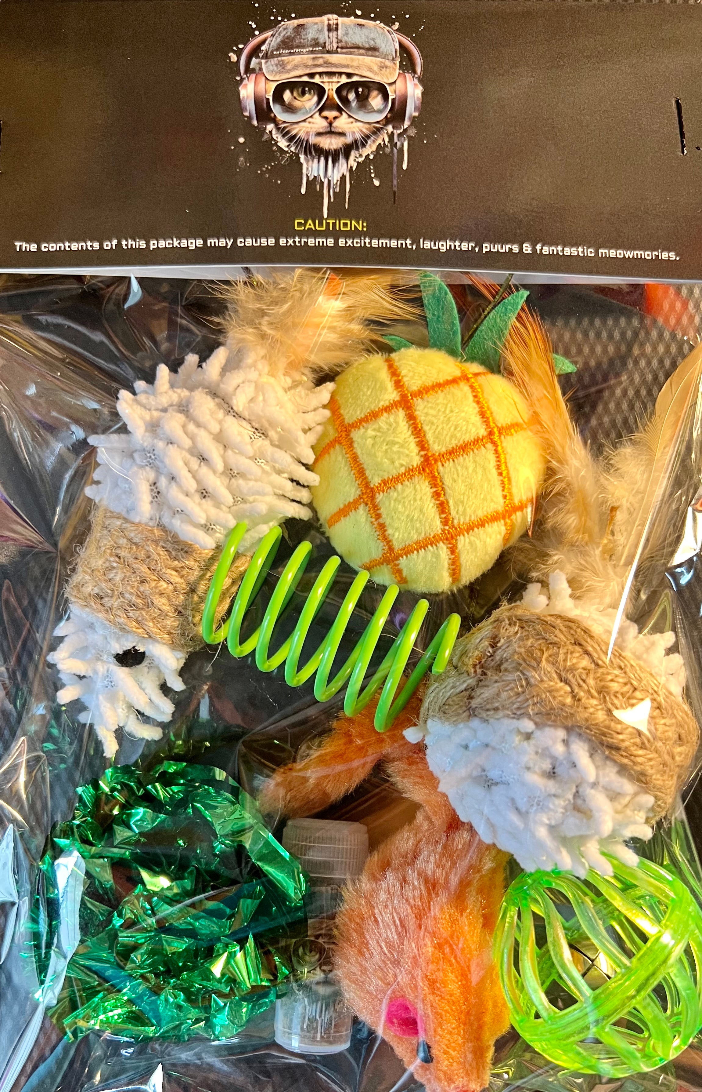 Furprize! Pineapple, Assorted Catnip Infusion Toys