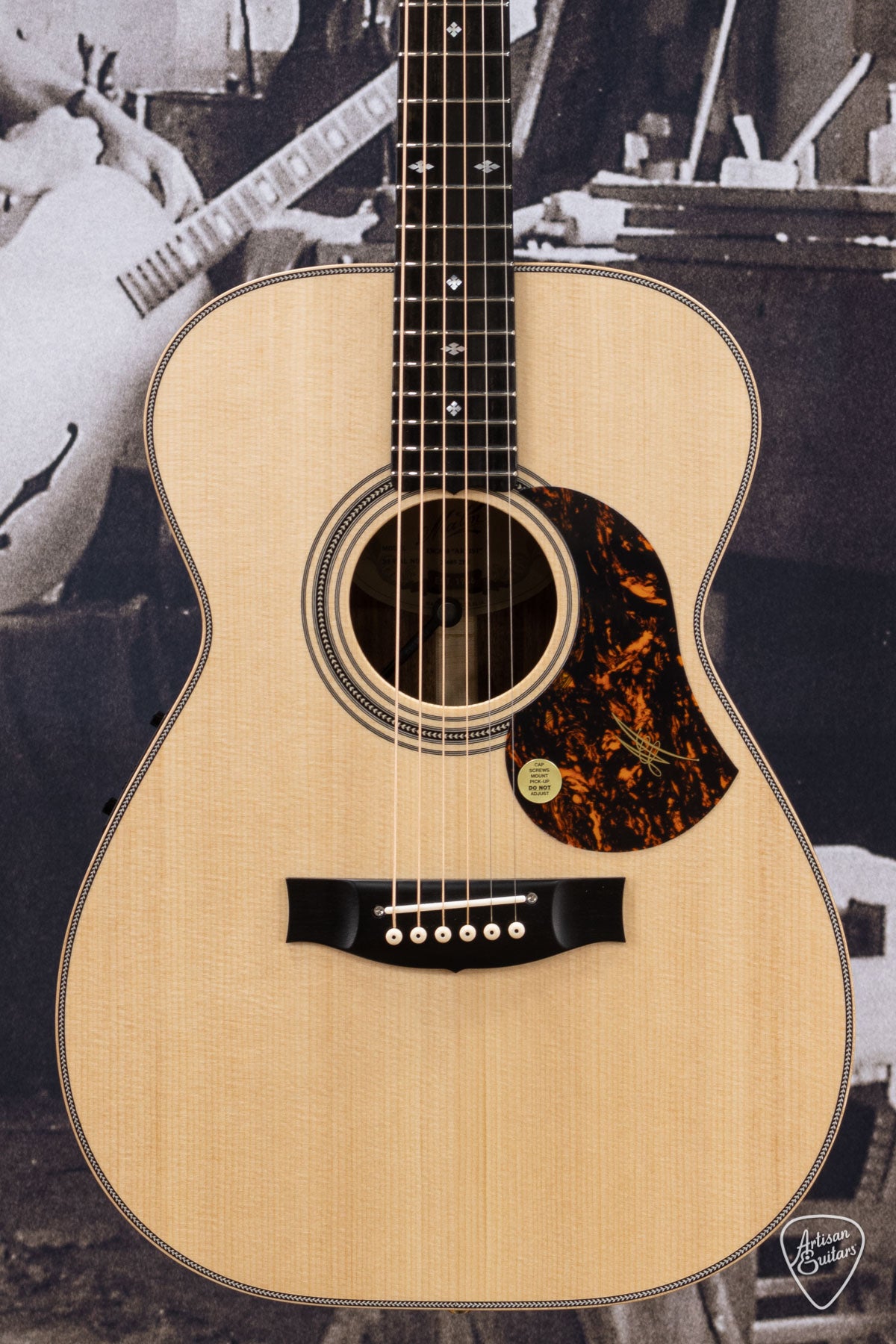 maton ebg 808l