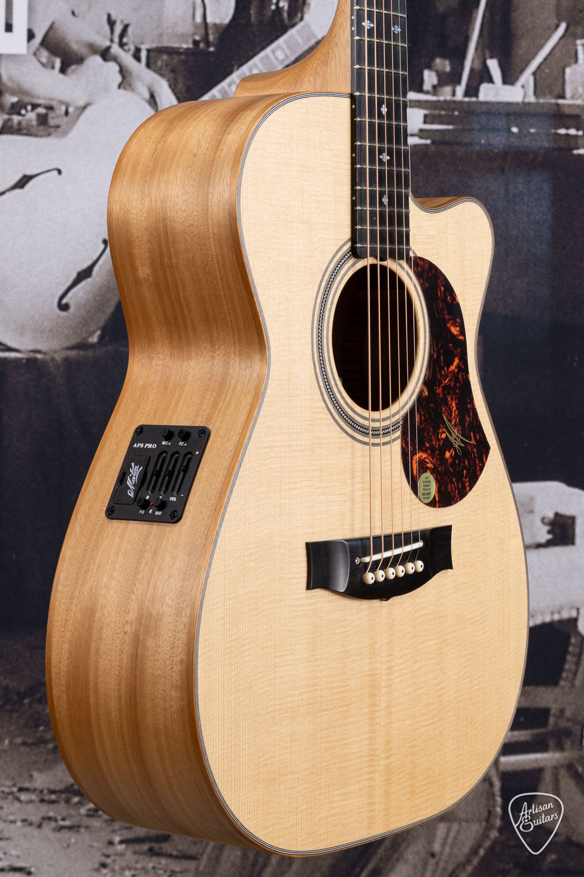 Maton EBG808c Michael Fix