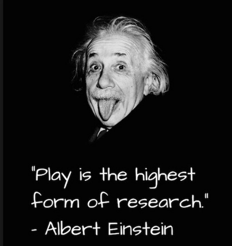 Learning through play - einstein quote