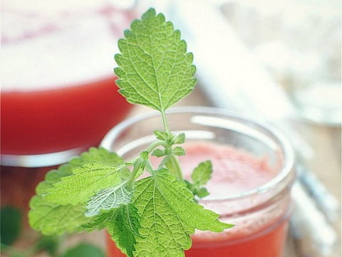 Lemon balm orange punch