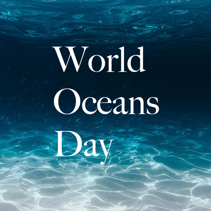 World Oceans Day 21 Sqwishful