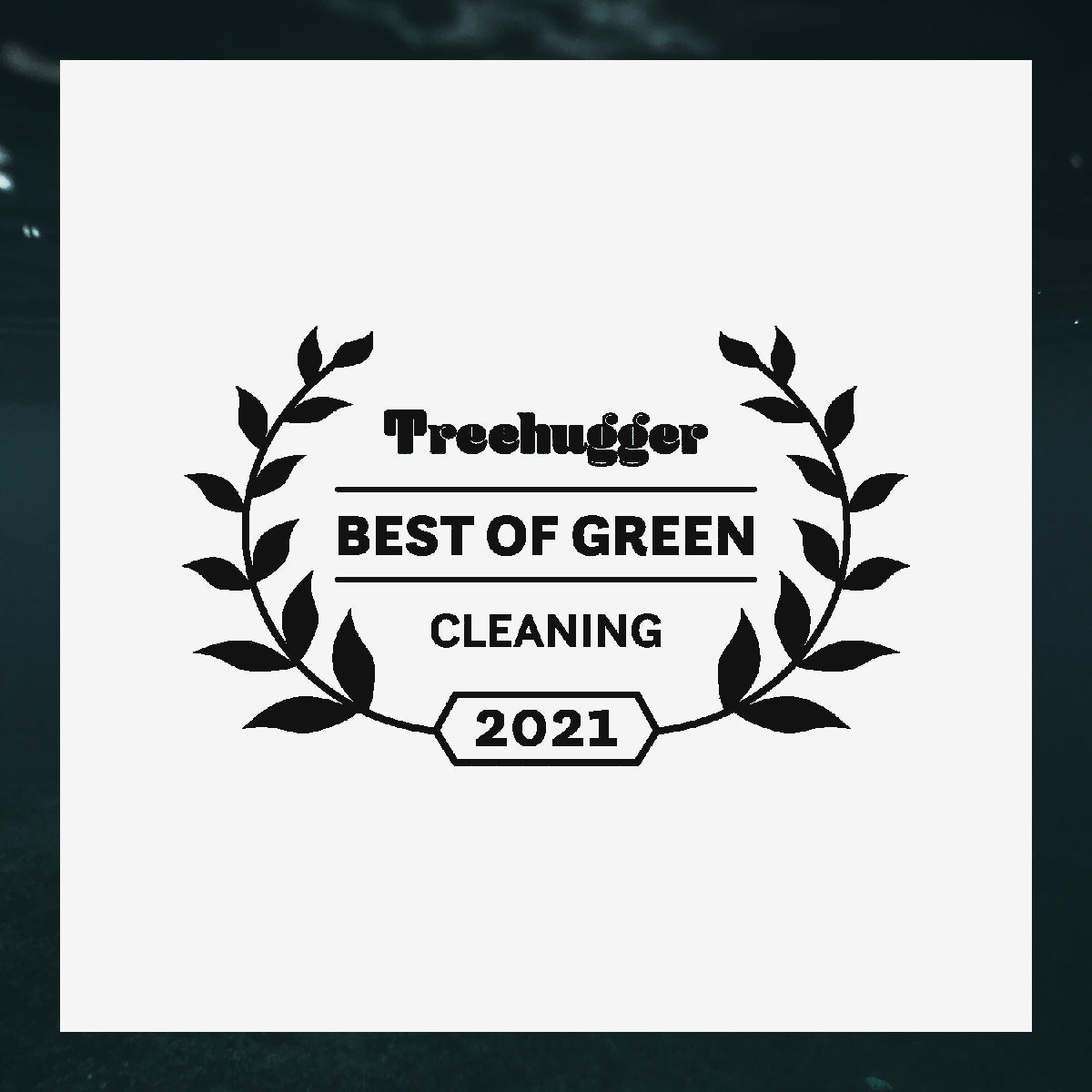 Sqwishful is a winner of the 2021 Treehugger Green Cleaning Awards