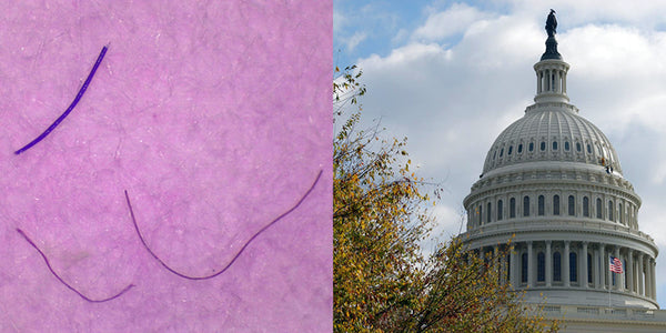 Microplastics under a microscope and the capitol building side-by-side