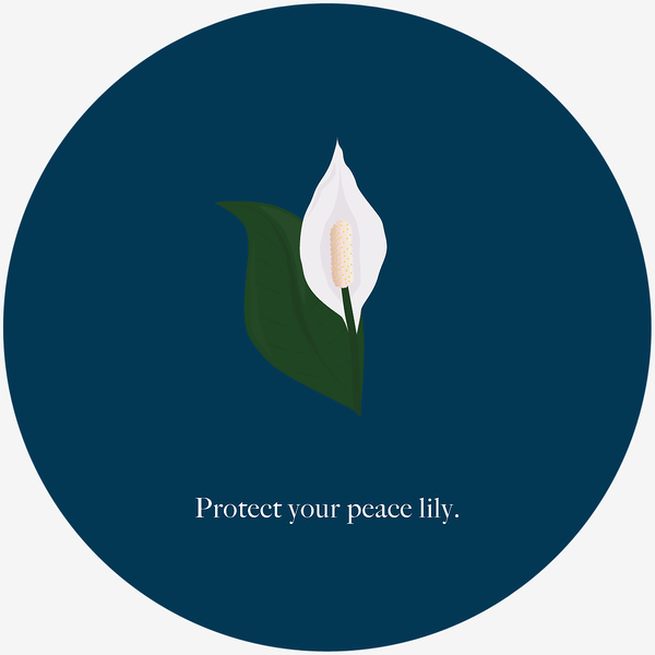 An illustration of a peace lily flower and leaf with the text "protect your peace lily" underneath