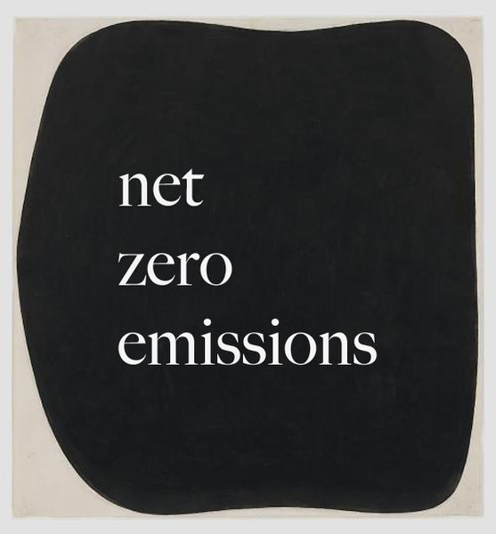 Net zero emissions