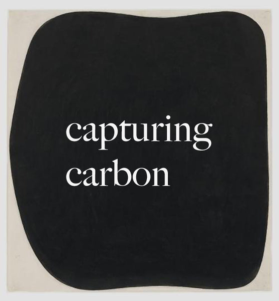 Capturing carbon