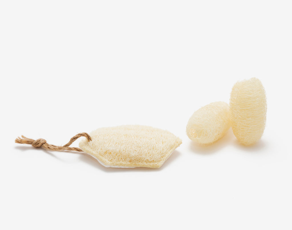 Sqwishful scrub sponge