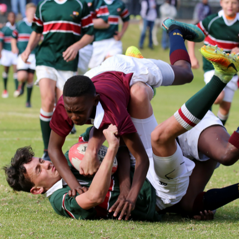 Rugby - Sporty Types