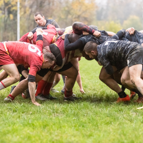 Rugby Scrum - Sporty Types