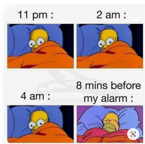Homer simpson memes