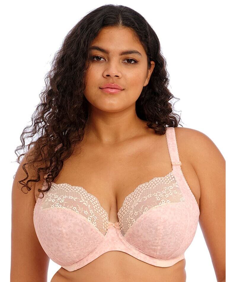 Elomi Full Figure Charley Stretch Lace Bra El4382 Online Only Rose Gol –  CheapUndies
