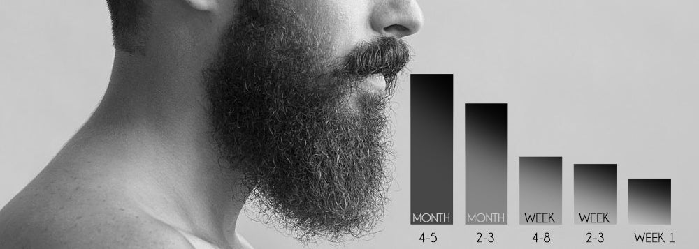 The Stages Of Beard Brooklyn Grooming 