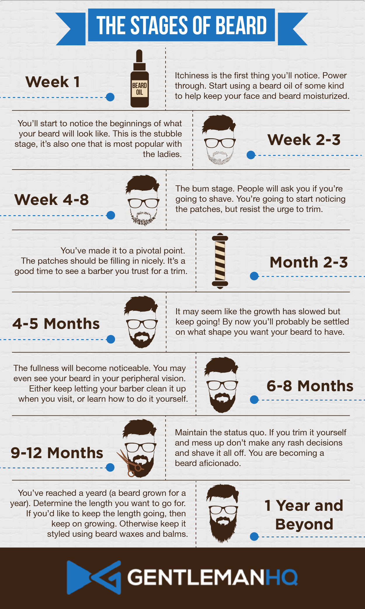 Beard Size Chart