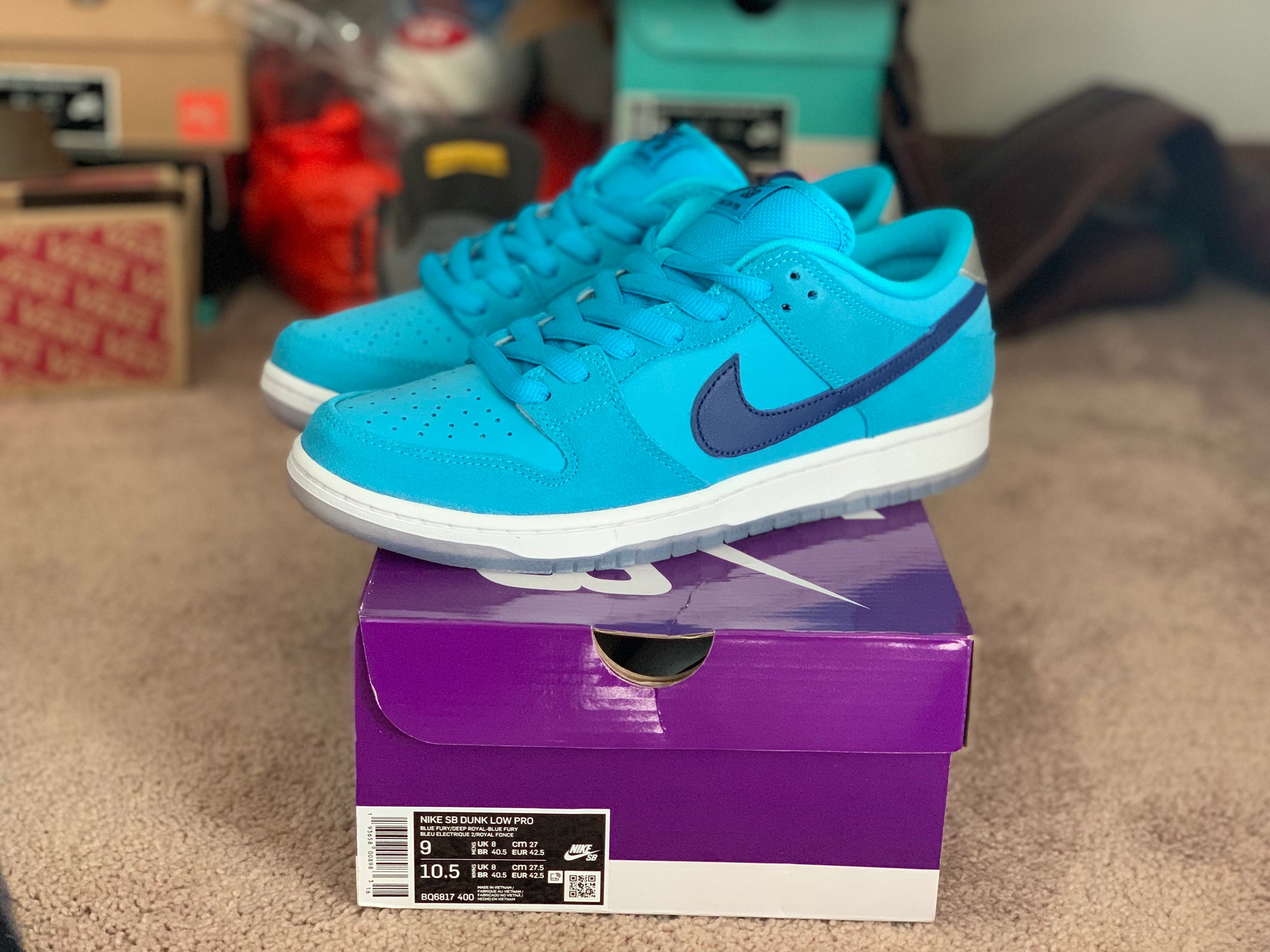 Blue fury Dunk Low size 9 DS – THE NSBS