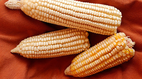 About Starches: Native Maize Starch