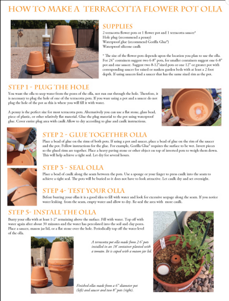 The Easy Way To Make an Olla That Waters Your Plants for You