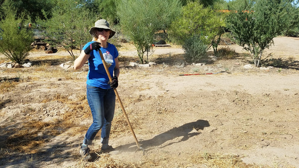 native seeds search executive director joy hought