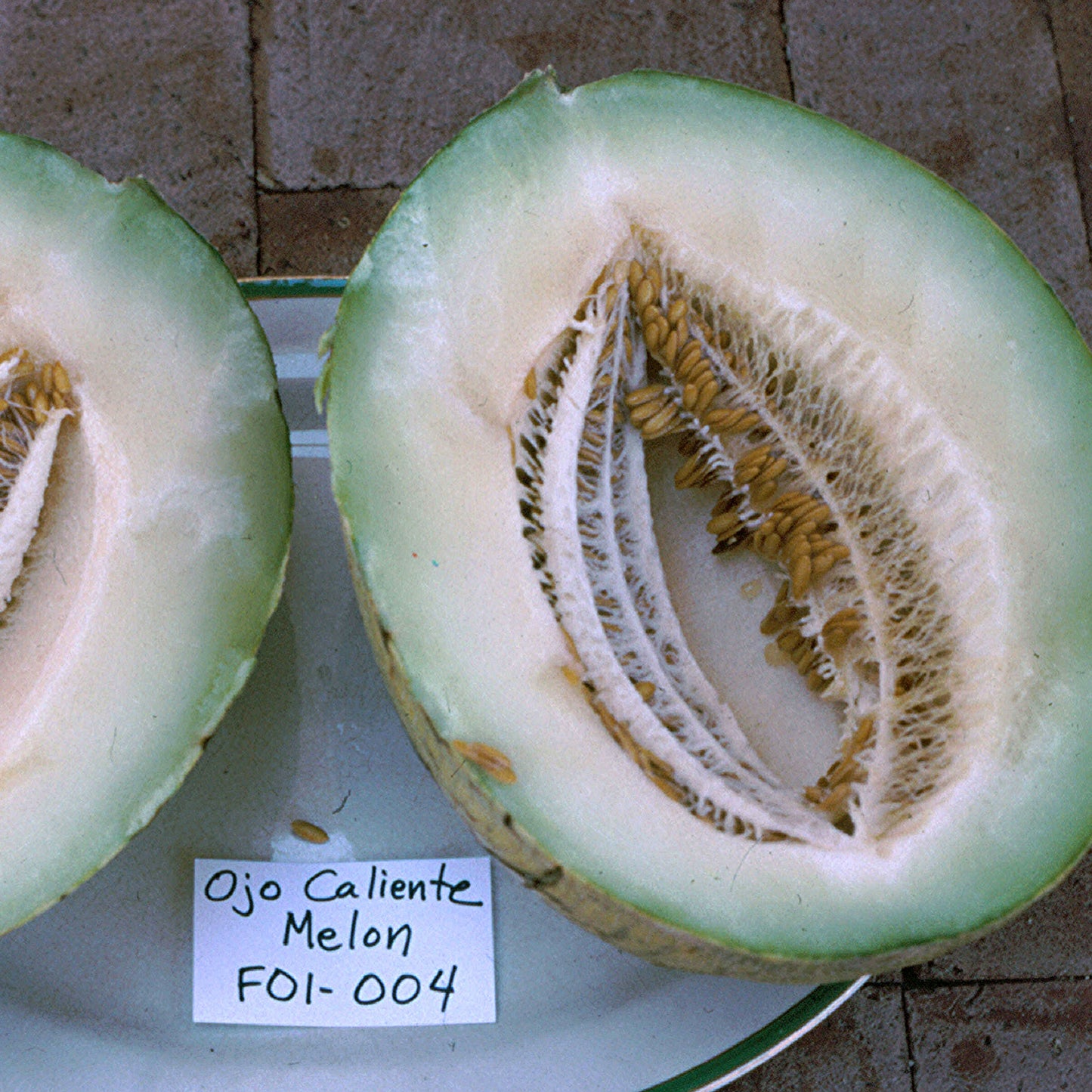 ARCHAEOLOGY OF FRUITS & VEGETABLES - Honeydew Melon (Casaba) - Chef's  Mandala