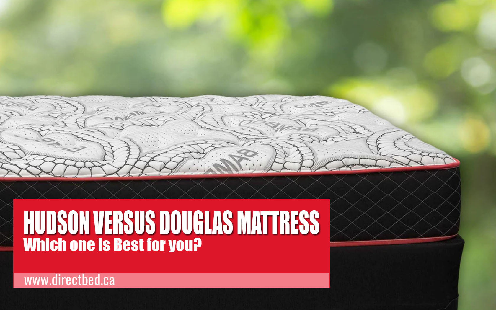 Douglas Mattress versus Hudson Mattress Which one is best for you? 