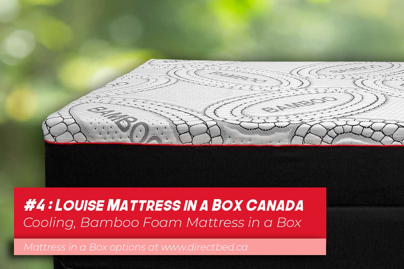 Louise Suite Endy Like Mattress in a Box Canada