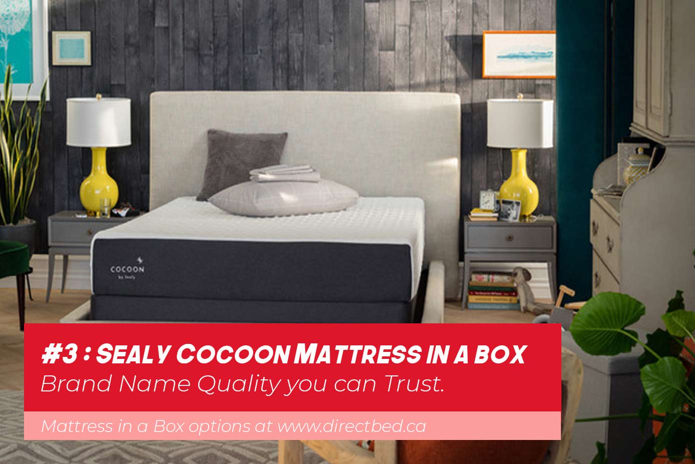 Sealy Cocoon Mattress in a Box Canada