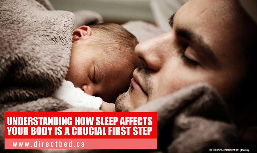 Understanding how sleep affects your body