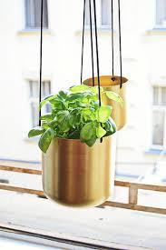 Plant Hanging