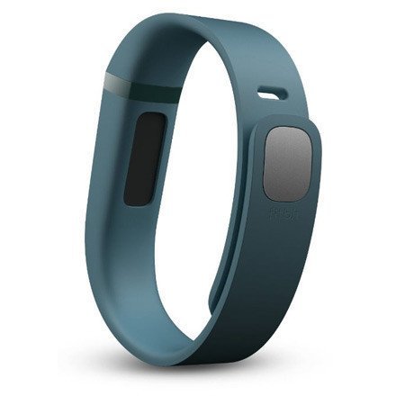 Buy Fitbit Flex Fitness Tracking Wristband - Slate online in India ...