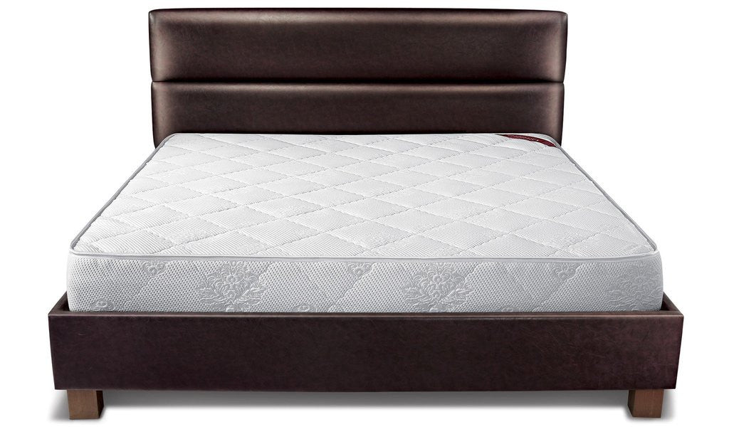 springwel mattress latex foam comfort plus