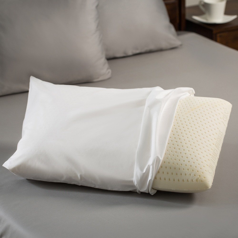 Buy Latex Night Care Pillow - Sealy online in India. Best