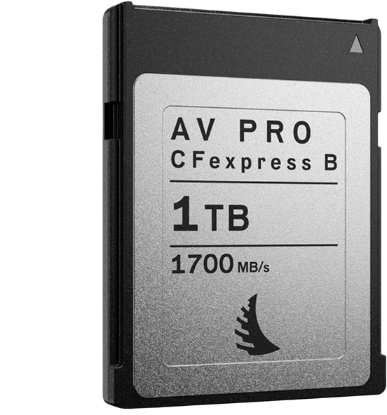 Angelbird 1TB AV Pro CFexpress 2.0 Memory Card - Discontinued