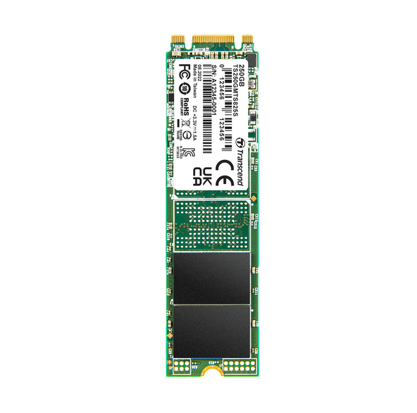 Transcend 250GB SATA III M.2 SSD 825S