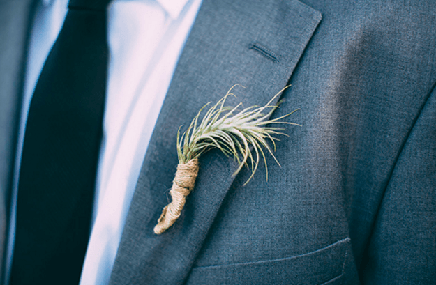 Air Plant Weddings The Boutonniere By Megan Richards