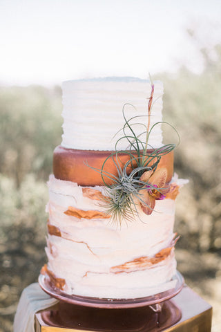 air plant wedding cake